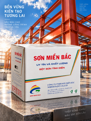 Sơn bột JMN968